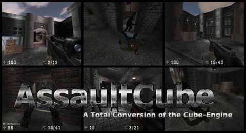 Network multiplayer game: AssaultCube